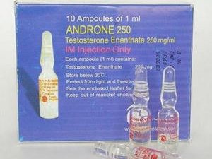 buy androne 250