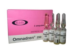 buy omnadren 250