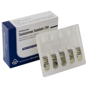 buy testosterone enanthate 250