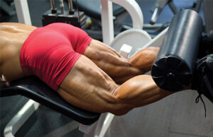 hamstrings exercises