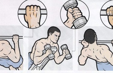 building biceps