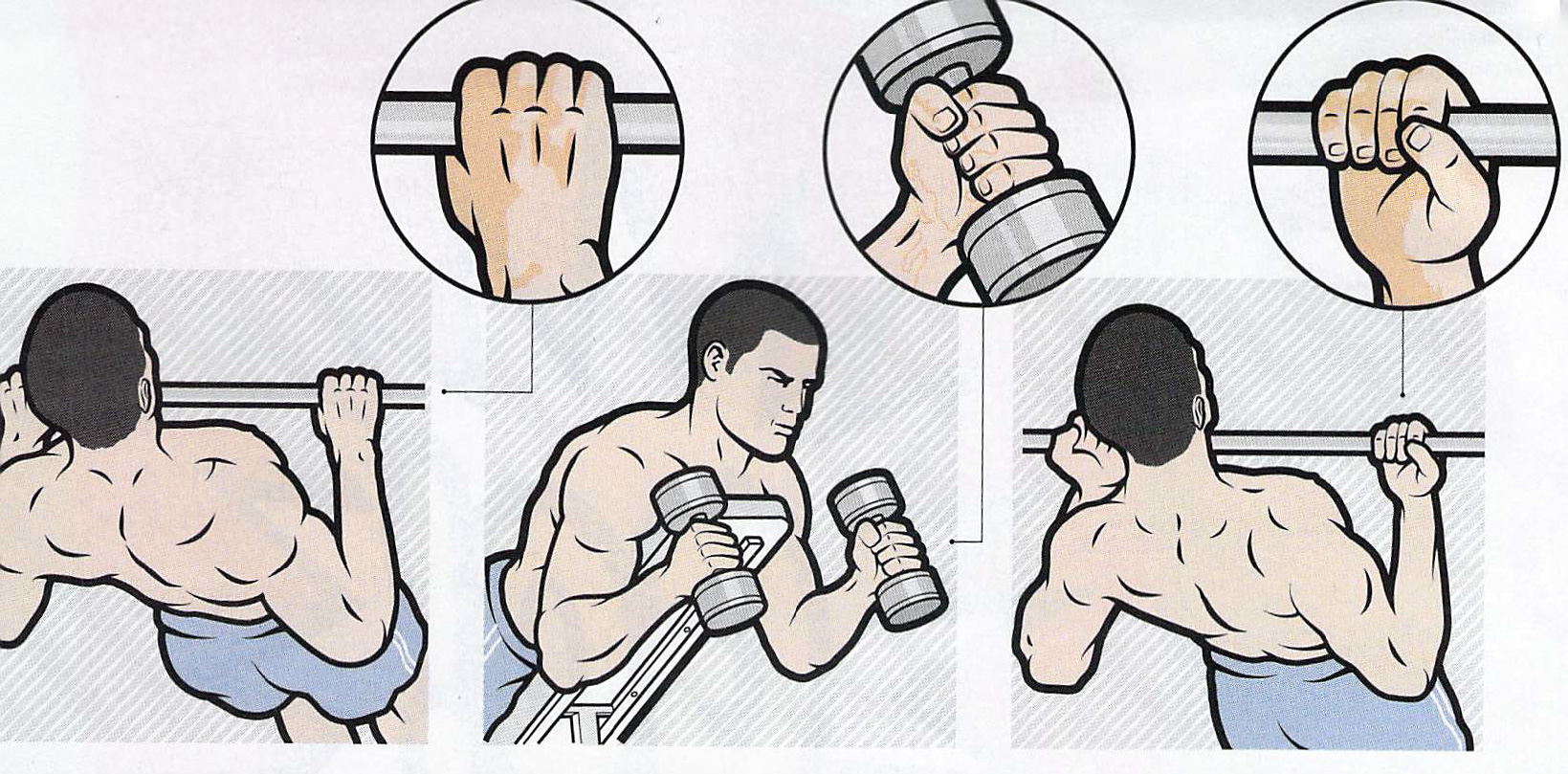 building biceps