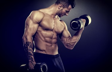 weight training program