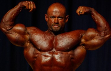 muscle building extravaganza