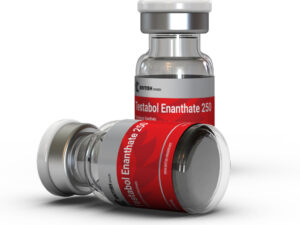 testabol enanthate 250